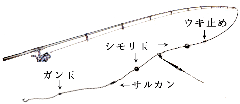 スズキ青虫釣り