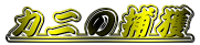 Jj̕ߊl