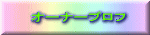 �I�[�i�[�v���t 