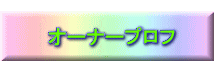  �I�[�i�[�v���t 