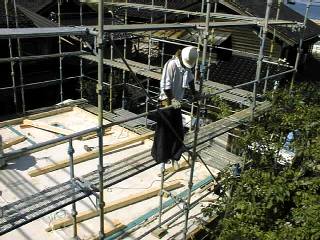 �O������g��