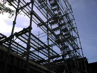 �O������g��