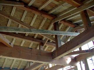 �����⋭��t��