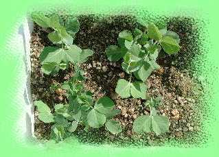 �c�����o�Ă��܂���