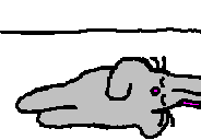 �O�D�A�O�D�A�O�D�B