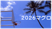 ２０２６マグロ